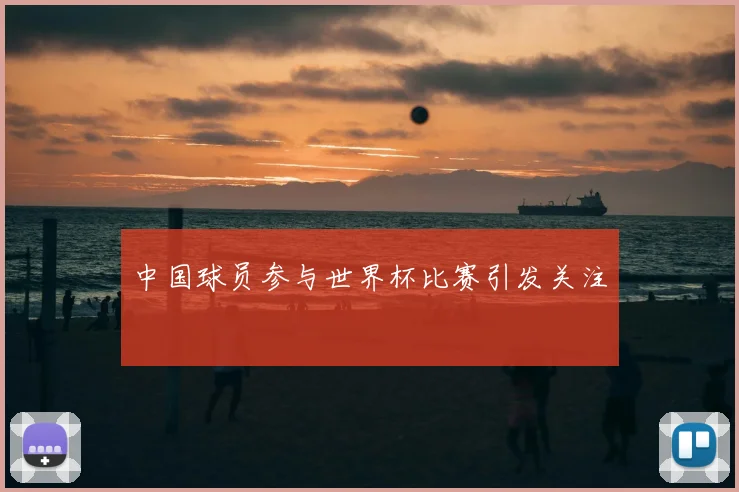 中国球员参与世界杯比赛引发关注