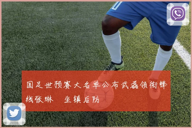 国足世预赛大名单公布武磊领衔锋线张琳芃坐镇后防