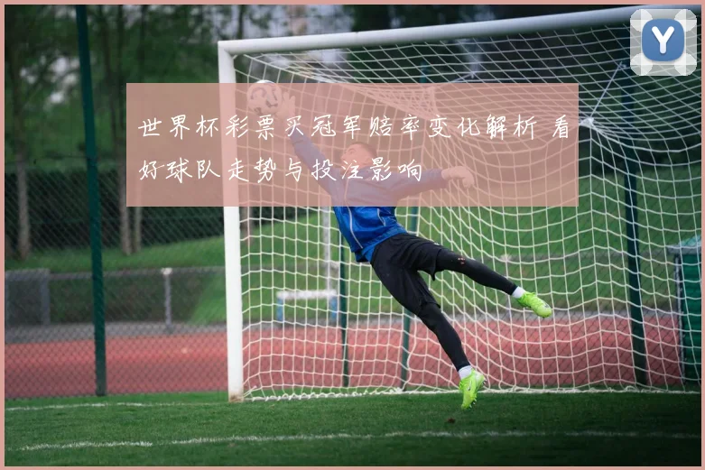 世界杯彩票买冠军赔率变化解析 看好球队走势与投注影响