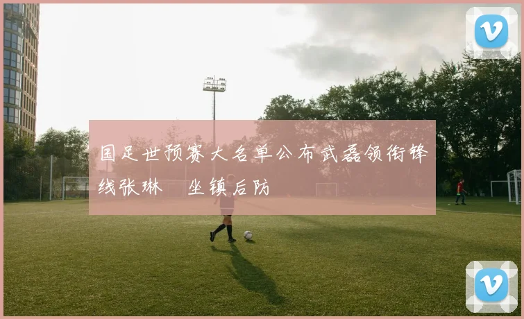 国足世预赛大名单公布武磊领衔锋线张琳芃坐镇后防