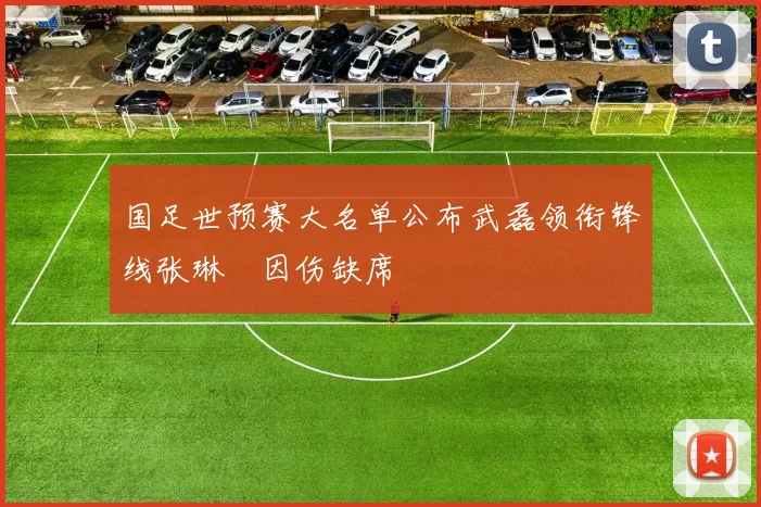 国足世预赛大名单公布武磊领衔锋线张琳芃因伤缺席