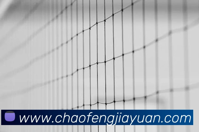 开云链接官网服务体系