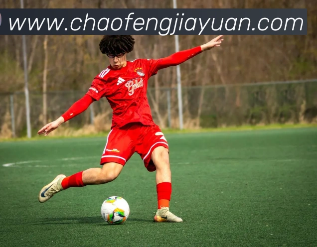 开云链接官网APP 体育赛事宣传图